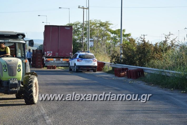 alexandriamou.gr_troxeo06021