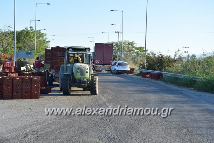 alexandriamou.gr_troxeo06024