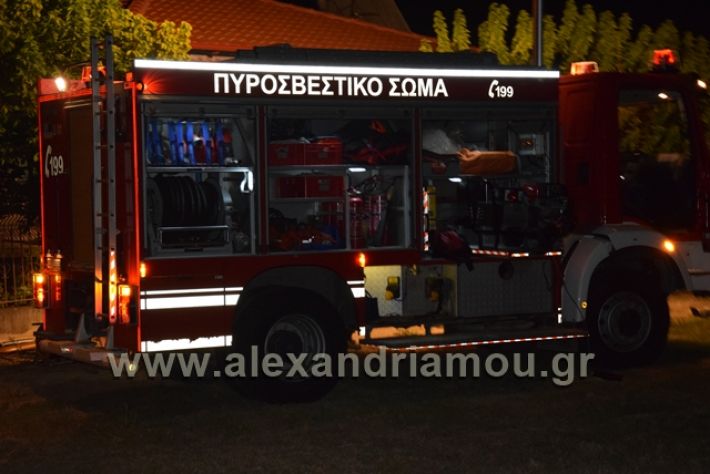 alexandriamou.gr_troxeo1288004