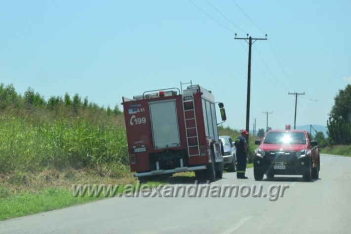 alexandriamou.gr_troxeo13.7.18001