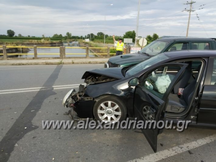 alexandriamou.gr_troxeokorifi15001