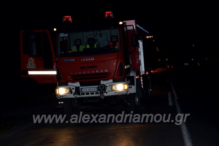 alexandriamou.gr_troxeo19.02.20DSC_0981