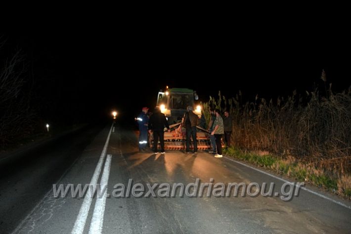 alexandriamou.gr_troxeo19.02.20DSC_0983