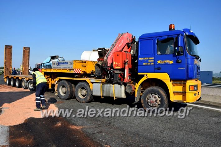 alexandriamou.gr_troxeo2424DSC_0348