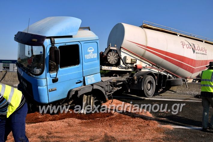 alexandriamou.gr_troxeo2424DSC_0354