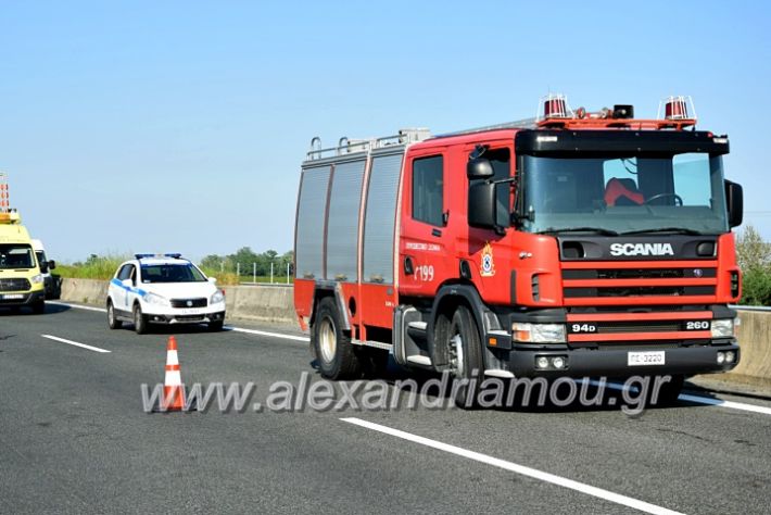 alexandriamou.gr_troxeo2424DSC_0356