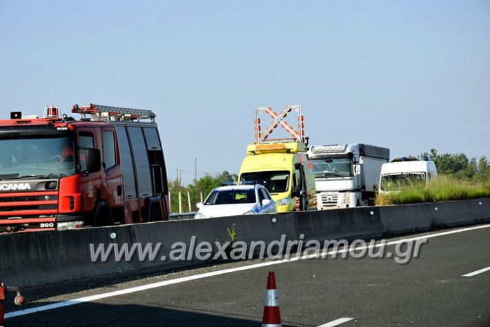 alexandriamou.gr_troxeo2424DSC_0375