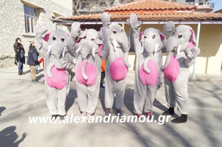 alexandriamou.1o5odimtsiknopempti2019015
