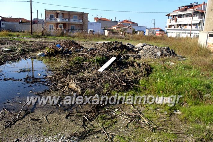 alexandriamou.gr_udragogeio2019IMG_9945