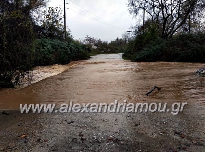 alexandriamou.gr_remadoy201979098650_624512934951507_1311323914277748736_n