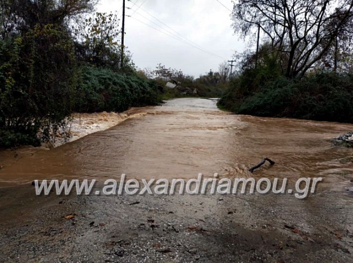 alexandriamou.gr_remadoy201979200891_741186516292607_2987135044105011200_n