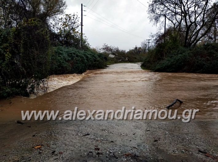 alexandriamou.gr_remadoy201979752792_985022081866790_522623543406493696_n