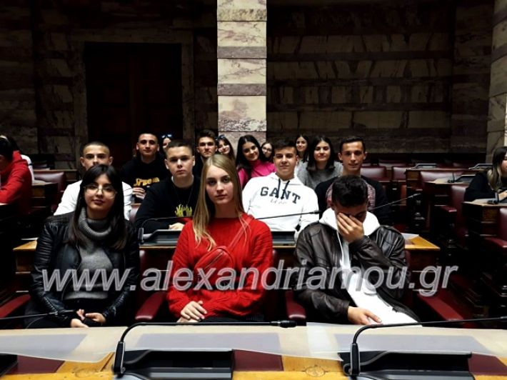 alexandriamou.gr_vesiropoulos20192olukeio79140396_3250870361650196_913699810563850240_n