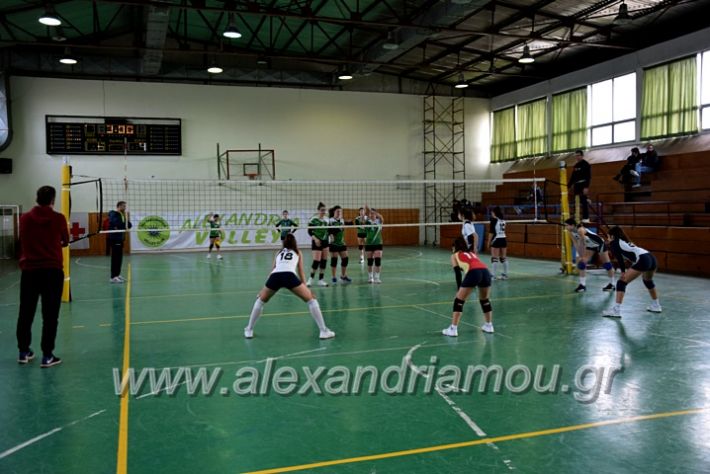 alexandriamou.gr_volei1920DSC_0525