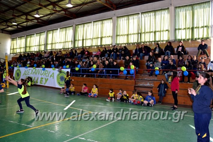 alexandriamou.gr_voleitournoua2020DSC_0681