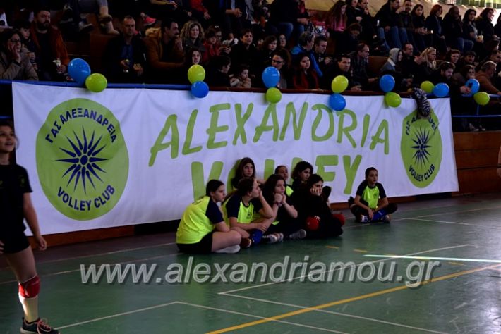 alexandriamou.gr_voleitournoua2020DSC_0693