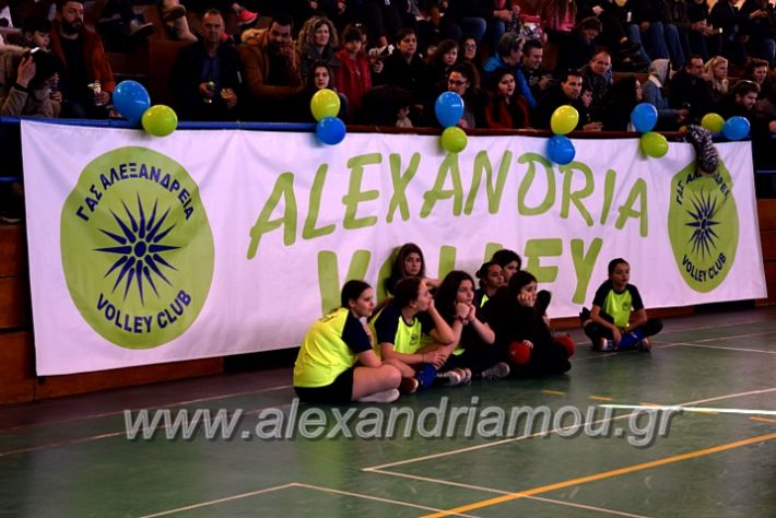 alexandriamou.gr_voleitournoua2020DSC_0695