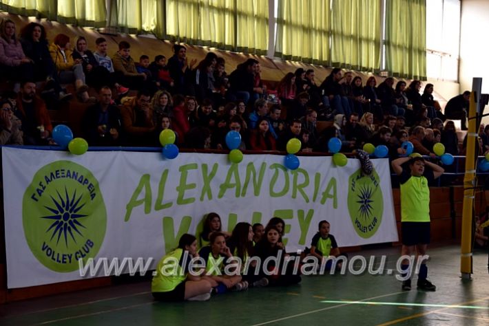 alexandriamou.gr_voleitournoua2020DSC_0698