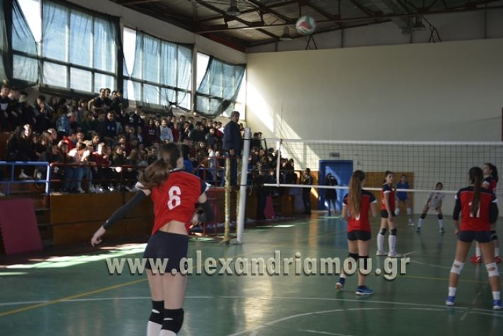 voley_1o_2o019