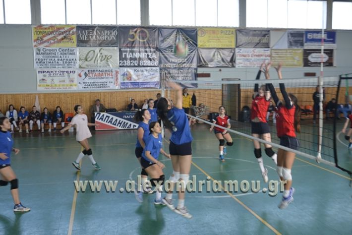 voley_1o_2o028