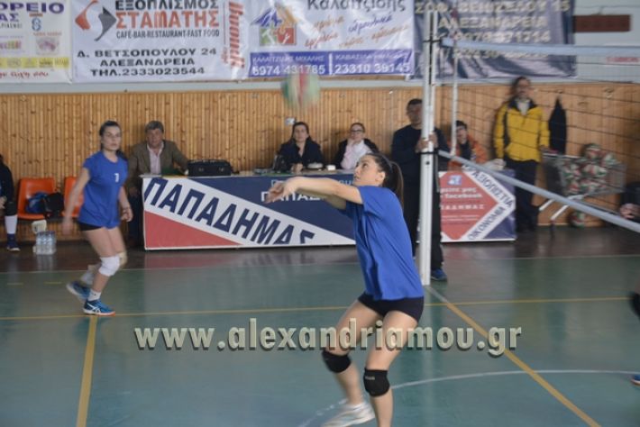 voley_1o_2o029