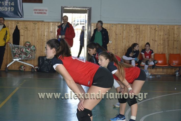 voley_1o_2o032