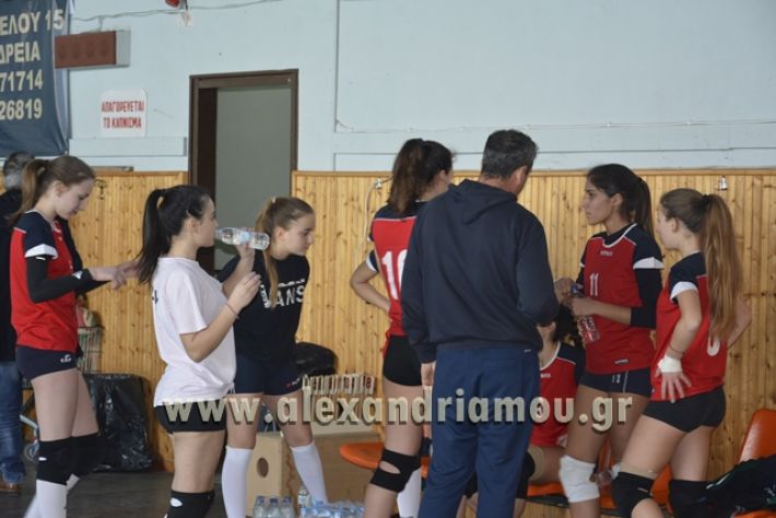 voley_1o_2o034