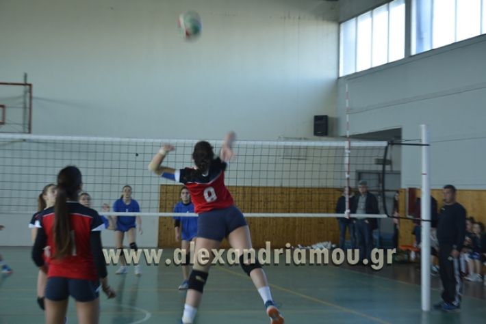 voley_1o_2o043