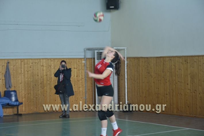 voley_1o_2o046