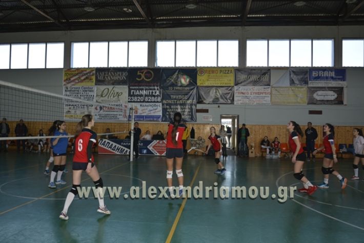 voley_1o_2o057