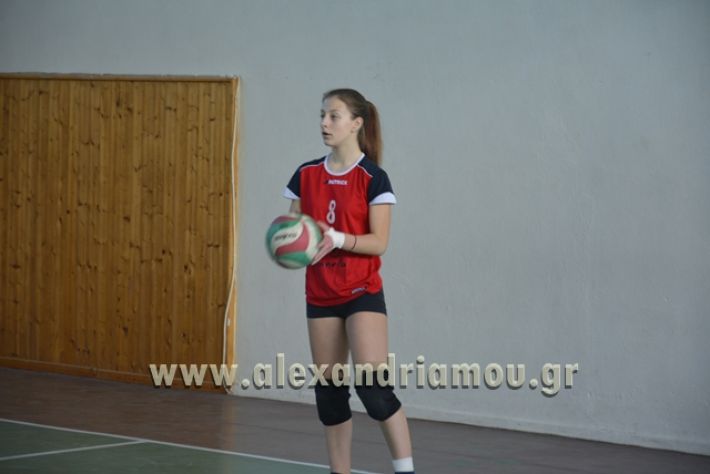 voley_1o_2o059