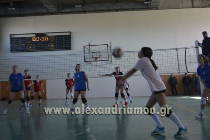 voley_1o_2o074