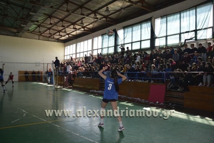 voley_1o_2o076