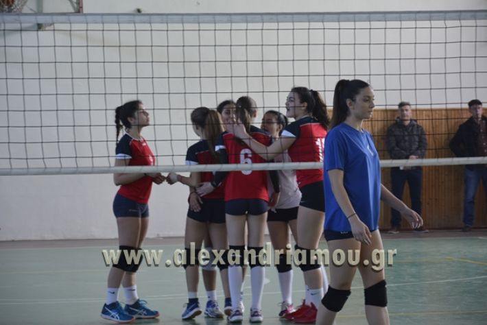 voley_1o_2o081