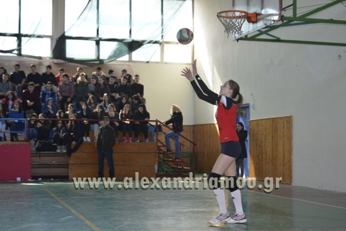 voley_1o_2o091