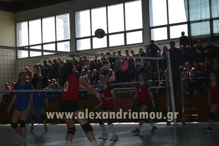 voley_1o_2o092