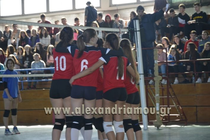 voley_1o_2o093