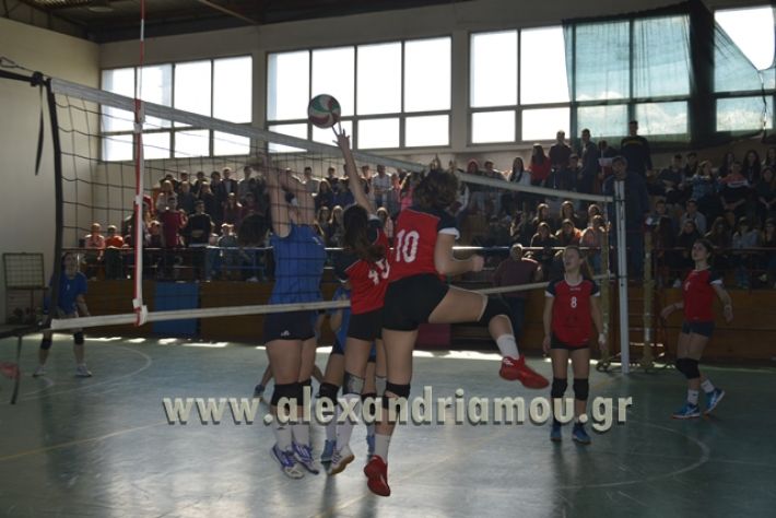 voley_1o_2o096