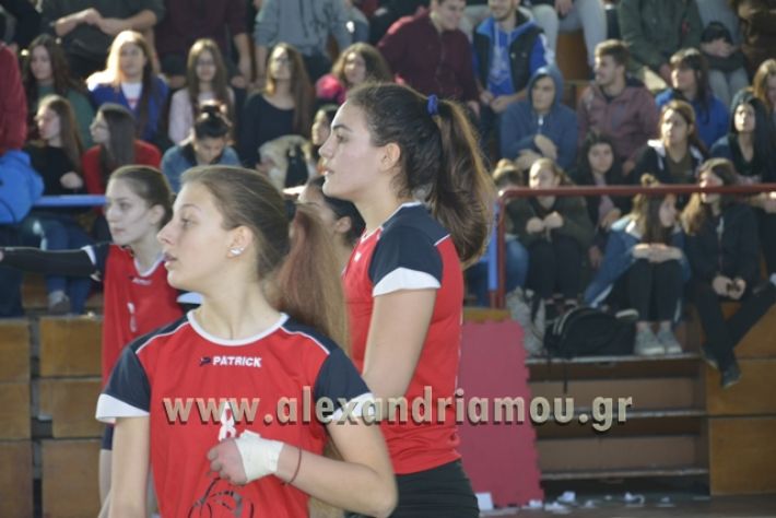 voley_1o_2o098