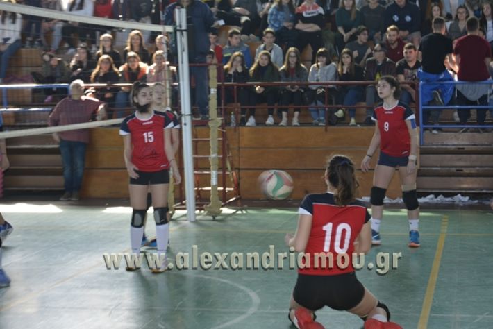 voley_1o_2o101