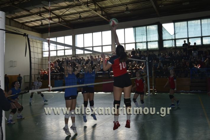 voley_1o_2o102