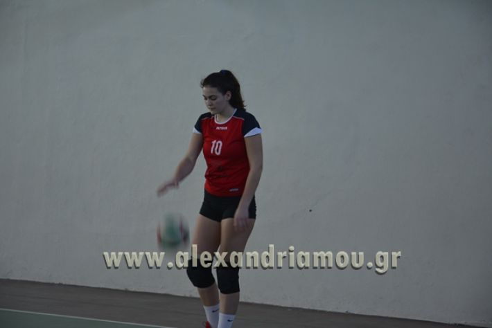 voley_1o_2o103