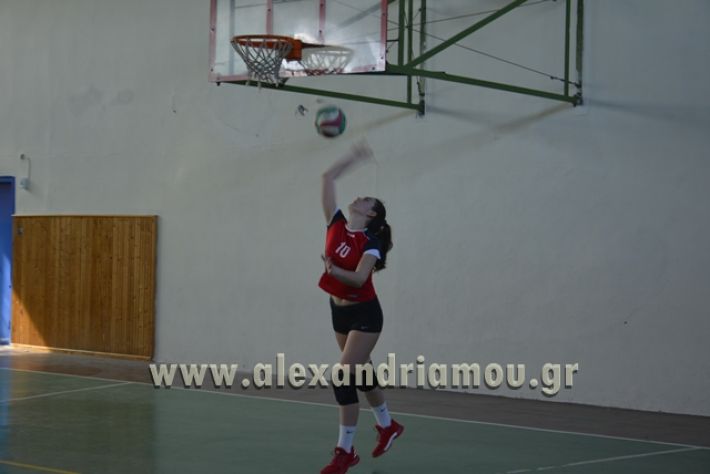 voley_1o_2o104