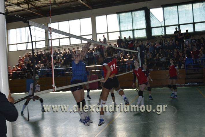 voley_1o_2o107