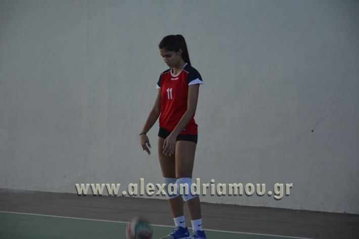 voley_1o_2o109