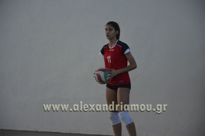 voley_1o_2o111