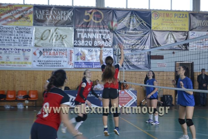 voley_1o_2o113