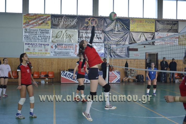 voley_1o_2o114