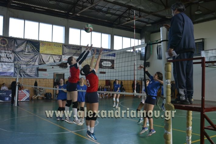 voley_1o_2o115