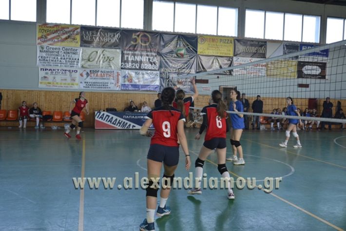 voley_1o_2o116